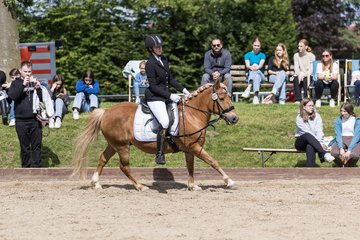 Bild 595 - Pony Akademie Turnier